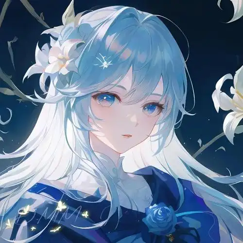 海狗伙伴